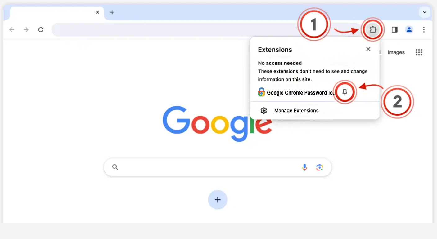 How to pin the extension